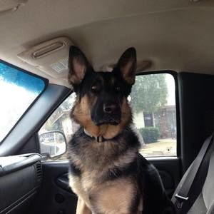 Meet your Posher, Judy